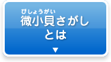 微小貝さがしとは