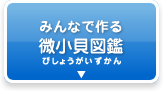 みんなで作る微小貝図鑑