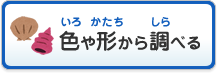 色や形から調べる