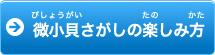 微小貝さがしの楽しみ方