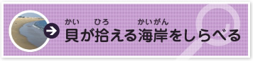 貝が拾える海岸をしらべる