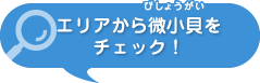 エリアから微小貝をチェック！